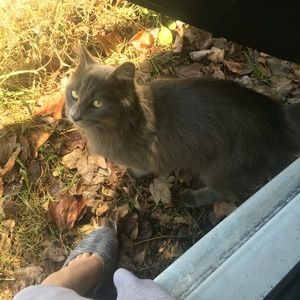 Meet your Posher, Leonard